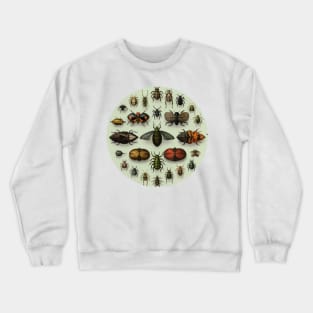 Circular Vintage Insect Entomology #2 Crewneck Sweatshirt